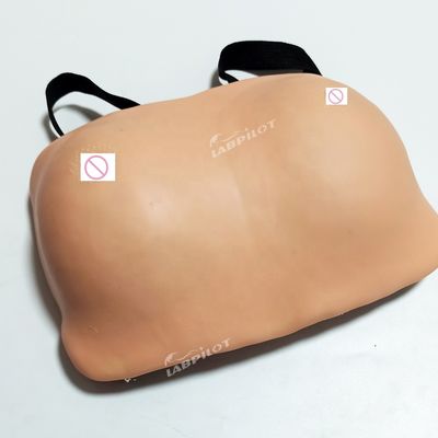 乳房 自己 検査 訓練 マニキン 婦人科 治療 の 現実 的 な 皮膚 モデル