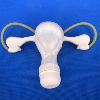 避妊 子宮 盆腔 検査 訓練 マニキン 医療 婦人科 介護 モデル