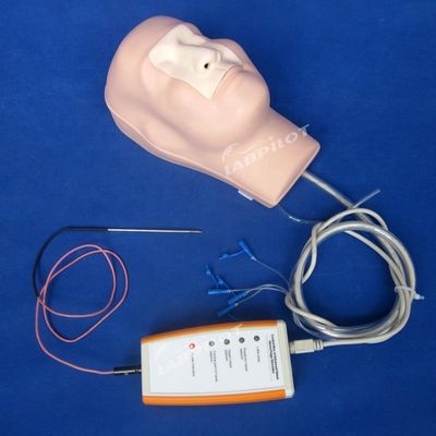 鼻血静止症 焼却と包装 訓練 機能のためのマニキン 医療モデル