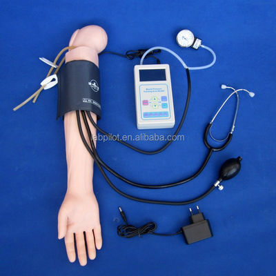 臨床看護実務のための高度血圧訓練腕シミュレーターモデル