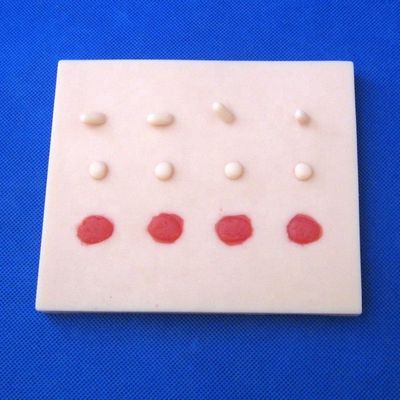 医療科学のための専門臨床訓練キット 多機能小手術