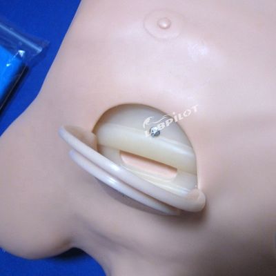 人工ヒドロトラクスのシミュレーションのための高度なPVC肺胸骨脱圧人形