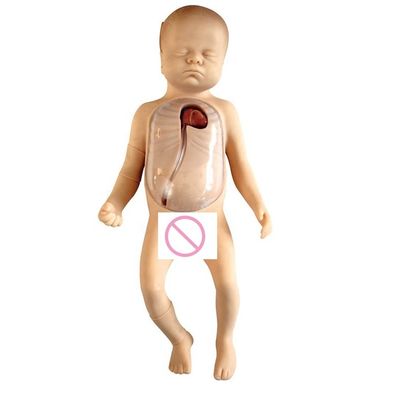 人体サイズの赤ちゃん看護人形 新生児ケア PICCモデル