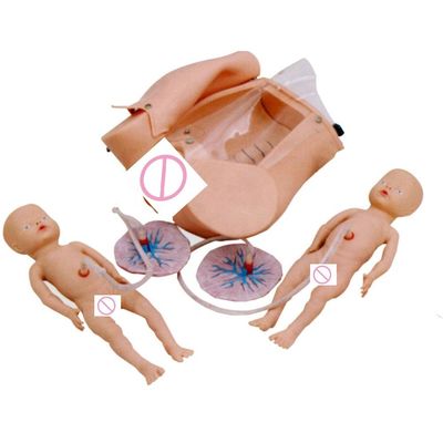 レオポルドマニュアルのマニキンと看護師助産師プログラムでの出産スキル訓練