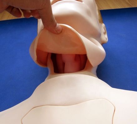 半身の看護人形 鼻胃栄養と気管管の直管訓練補助