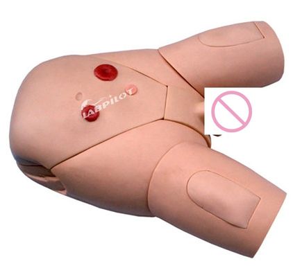 男性用カテーテリゼーション 医療学生のための看護訓練モデル 技能開発