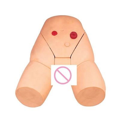 女性のカテーテリゼーションスキル開発のための筋肉内注射訓練モデル