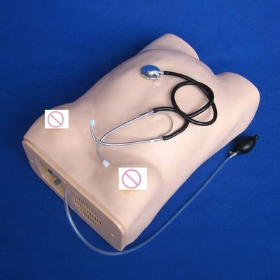 産婦人科 産婦人科 腹腔触覚 妊婦 介護 マニキン