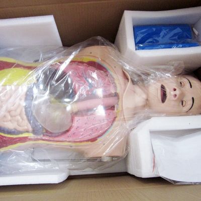 革新的な鼻胃管と気管 能力 リアルな特徴を持つ看護人形