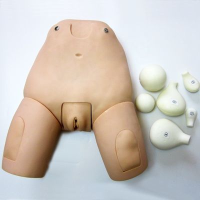 子宮検査のための高度なFundusシミュレーター 産後女性マニケートモデル