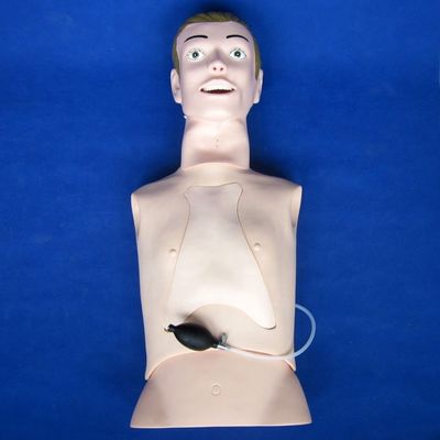 プロの人体サイズ内管と吸気訓練 マニキン 介護機能