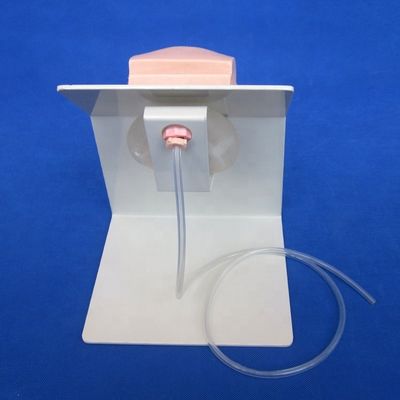 現実的な人間のマニキン 経済的な男性カテーテリゼーション 教えるシミュレーター 看護訓練モデル