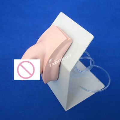 現実的な人間のマニキン 経済的な男性カテーテリゼーション 教えるシミュレーター 看護訓練モデル