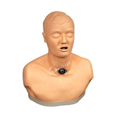 アダルト トラケオストミ ケア と 吸い込み 訓練 機能 を 備えた 看護 人形