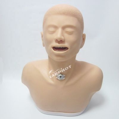 アダルト トラケオストミ ケア と 吸い込み 訓練 機能 を 備えた 看護 人形