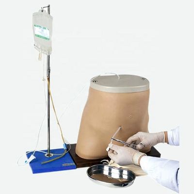 人体サイズの先端PVC材料のペリトネアル透析訓練シミュレーターモデル
