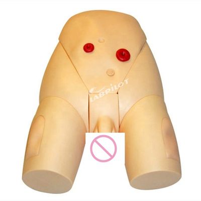 男性カテーテリゼーションIM 医学科学のための注射モデル 臨床看護訓練