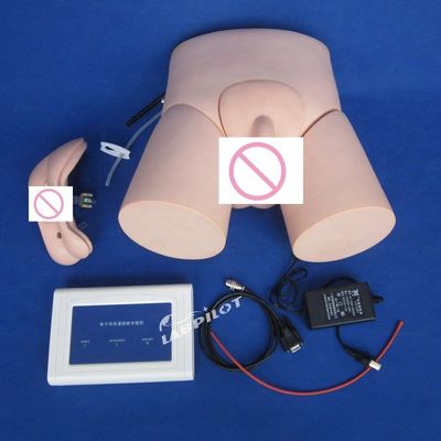先進的なPVCコントローラー操作の看護カテーテリゼーション人形