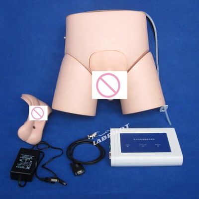 先進的なPVCコントローラー操作の看護カテーテリゼーション人形
