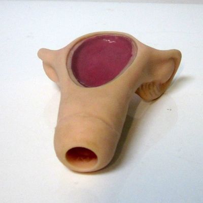 避妊訓練のための現実的な看護シミュレーター 女性 IUD 医学解剖学モデル