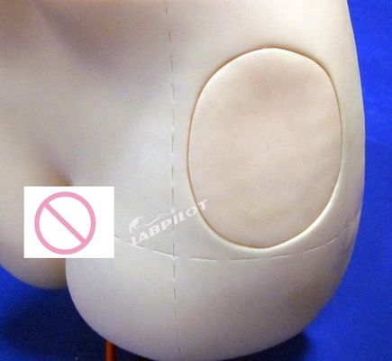 臨床看護訓練 簡単なヒップインジェクショントレーナーIMインジェクション教育モデル
