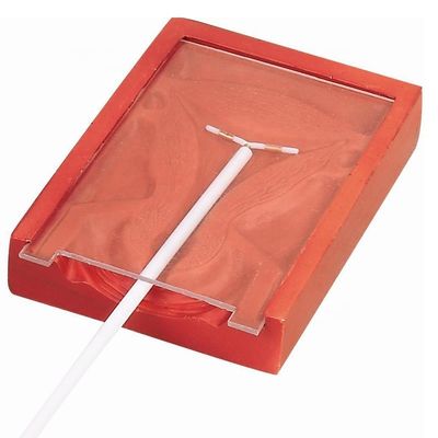 産婦科 技 術 教え 患者 の 介護 の ため の IUD 挿入 訓練 者