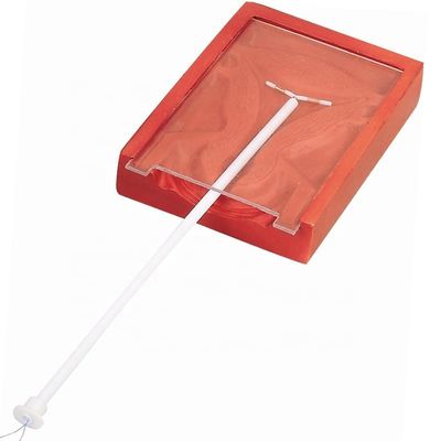 産婦科 技 術 教え 患者 の 介護 の ため の IUD 挿入 訓練 者