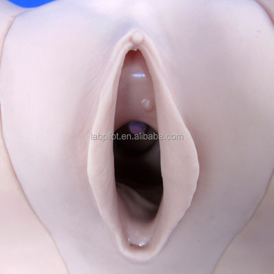 女性の避妊シミュレーター と IUD モデル で 臨床 介護 技法 を 改善 する