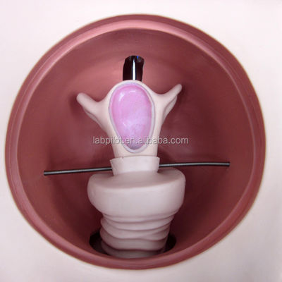 女性の避妊シミュレーター と IUD モデル で 臨床 介護 技法 を 改善 する