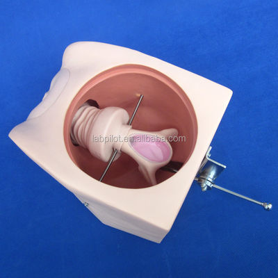 女性の避妊シミュレーター と IUD モデル で 臨床 介護 技法 を 改善 する