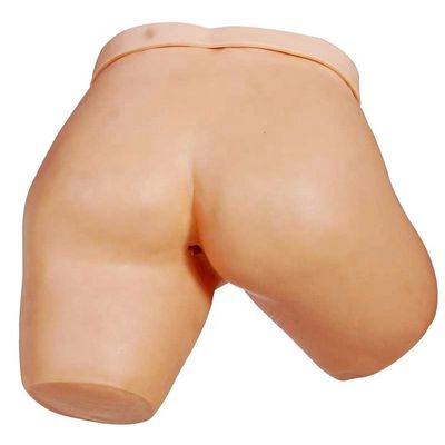 病院 の 医学 訓練 モデル 乳液 管理 の シミュレーション
