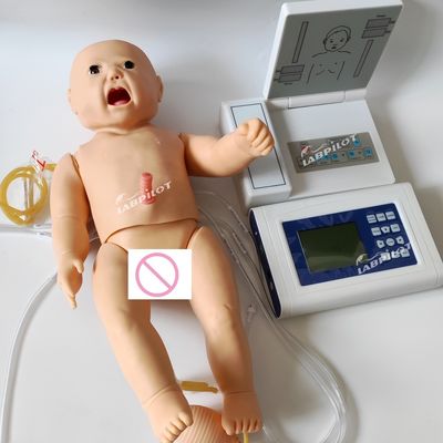 カテゴリー 小児科医 ファーストヘルプ 完全機能の新生児のためのCPR訓練 人形
