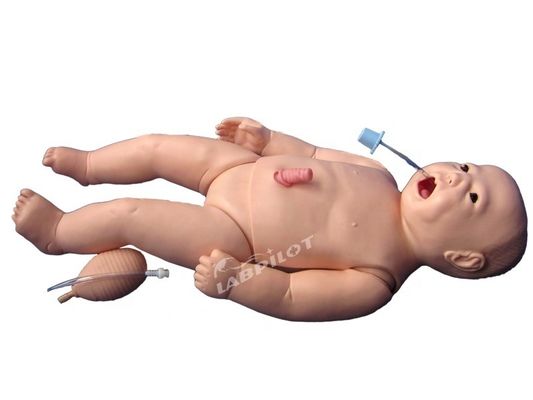 ACLS 新生児看護 マニキン 生命体サイズ 医学科教科目