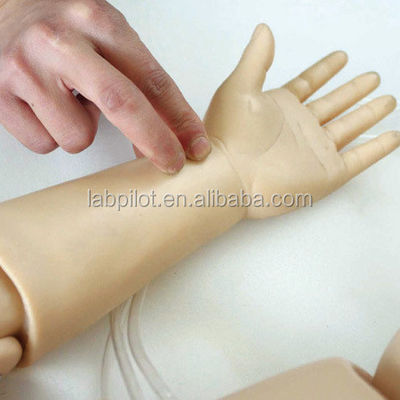 小児保健 一歳児 介護とCPR 生命救助訓練のための人形