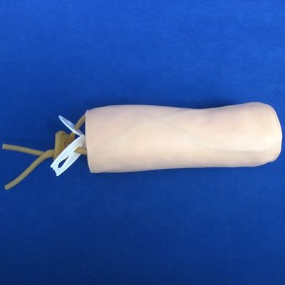 医学 経済 柔らかい静脈切開 静脈注射 教学 モデル 肘穴シミュレーター