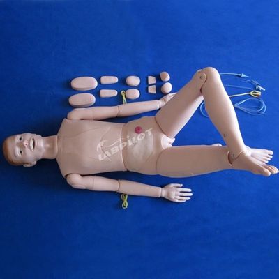 患者のケア デモンストレーション 医療科学 介護 内臓付き人形