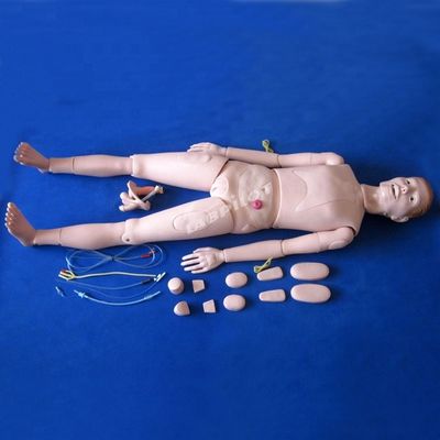 患者のケア デモンストレーション 医療科学 介護 内臓付き人形