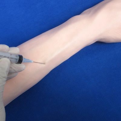 静脈注射のための全般的な静脈注射訓練腕 人間の生命体サイズモデル
