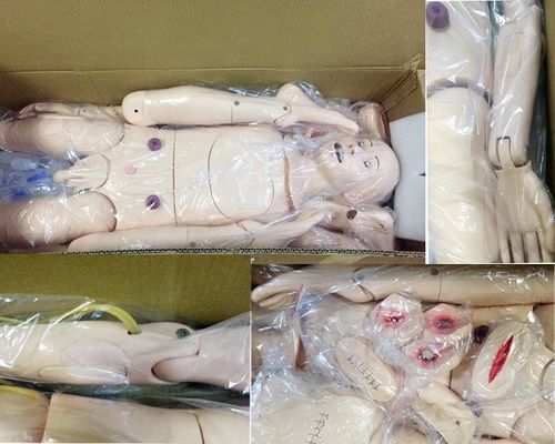 病院の総合医療のための直管訓練人形 介護スキル