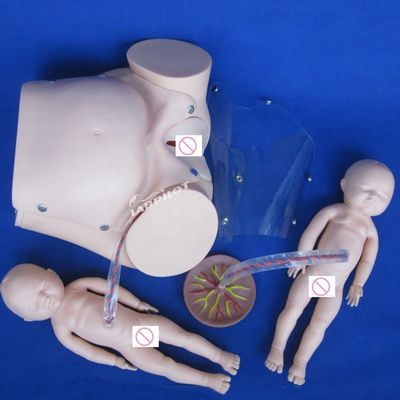 人体サイズ 妊婦人形 赤ちゃん 産児シミュレーター 医療科学モデル