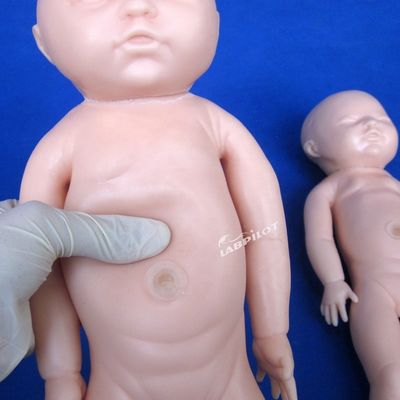 人体サイズ 妊婦人形 赤ちゃん 産児シミュレーター 医療科学モデル