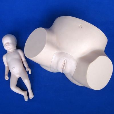 高度なPVCマニキン 妊娠 出産シミュレーター 真空抽出訓練