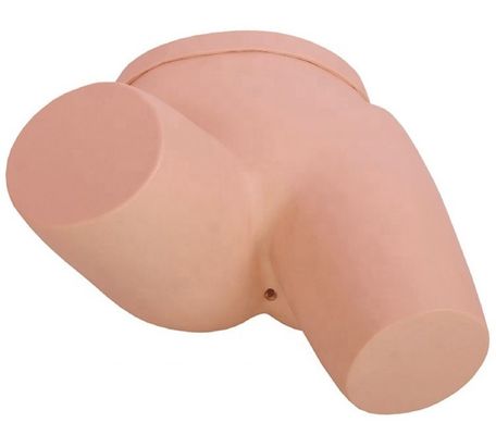 臨床看護訓練をエネマ訓練シミュレーター看護モデルでアップグレードする
