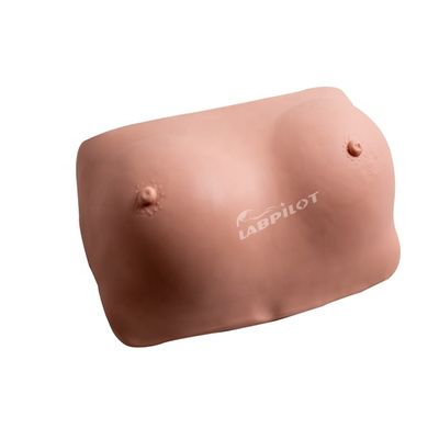 機能 腫瘍検知のためのヒト生体サイズ乳房検査練習シミュレーター