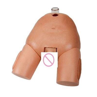 PVC 女性用尿管穿刺操作シミュレーター