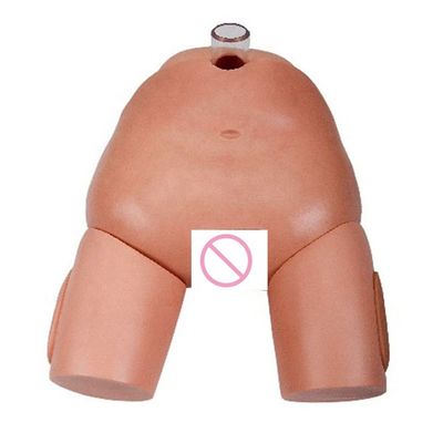 PVC 女性用尿管穿刺操作シミュレーター