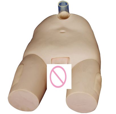 PVC 男性/女性 膀?? 灌?? 訓練モデル カテーテリゼーションスキルとパンクチャー操作シミュレーター