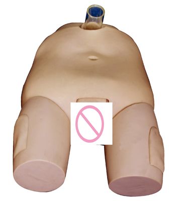 PVC 男性/女性 膀?? 灌?? 訓練モデル カテーテリゼーションスキルとパンクチャー操作シミュレーター