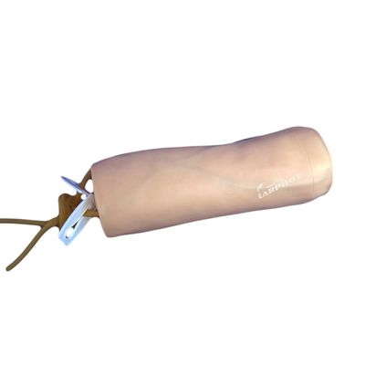 医学 静脈切開と輸血 慣行モデル IV 肘モデル