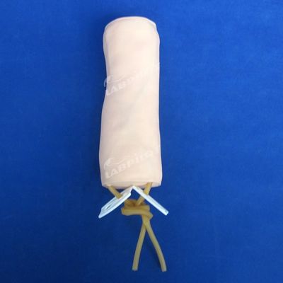 医学 静脈切開と輸血 慣行モデル IV 肘モデル